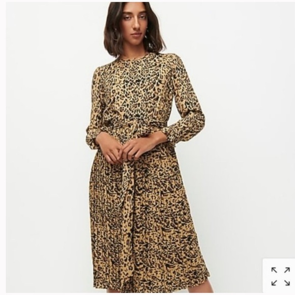 J. Crew Leopard Carly Dress - Picture 1 of 14